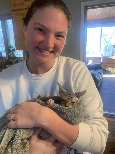 Meet my new baby alien girl, Merkin : r/sphynx .